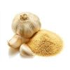 Garlic Powder in Vadodara