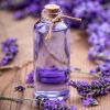 Lavender Oil in Kannauj