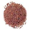 Psyllium Seeds in Indore