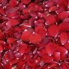 Dry Rose Petals in Bareilly