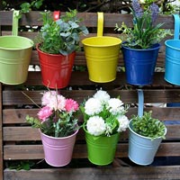 Flower Pots, Garden & Wall Planters