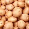 Potato in Morbi