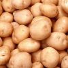 Potato in Hooghly