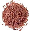 Grass Seeds in Ranchi