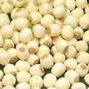 Lotus Seed in Thane