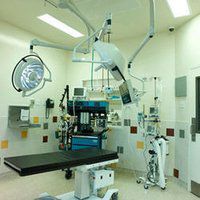 Wall Coating Services