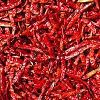Red Chilli in Kolhapur