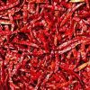 Red Chilli