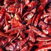 Dry Red Chilli in Jalgaon