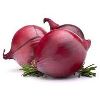 Red Onion in Jaipur