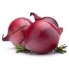 Red Onion in Amreli