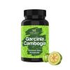 Garcinia Cambogia in Hyderabad