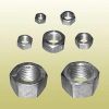 Stainless Steel Nuts in Secunderabad
