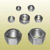 Stainless Steel Nuts in Kolkata