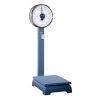 Mechanical Weighing Scale in Delhi