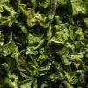 Green Chilli Flakes in Jamnagar