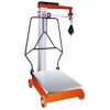 Platform Weighing Scale