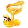 Natural Honey in Patiala
