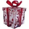 Acrylic Gift Box