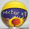 Basketball in Meerut