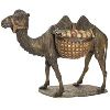 Camel Statue in Aligarh