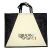 Canvas Shopping Bag in Ahmedabad
