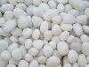 White Pebbles in Rajsamand
