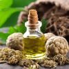 Angelica Oil