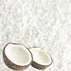 Desiccated Coconut Powder in East Godavari