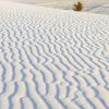 White Sand