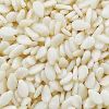 White Sesame Seeds in Junagadh