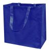Big Shopper Bags