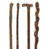 Wooden Walking Sticks in Bijnor