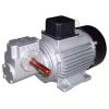 Worm Gear Motor in Pune