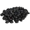 Black Beans in Rajkot