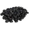 Black Beans in Rajkot