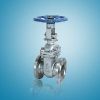 Wedge Gate Valve in Thane