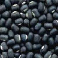 Black Matpe Beans