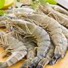 Black Tiger Prawns in Hyderabad