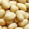 Blanched Peanuts in Bikaner