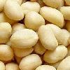 Blanched Peanuts in Bikaner
