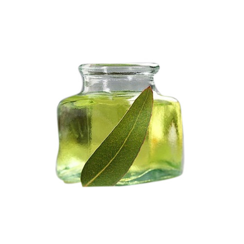 Nilgiri Oil, for Antiseptic deodorant, Purity : 100% Natural