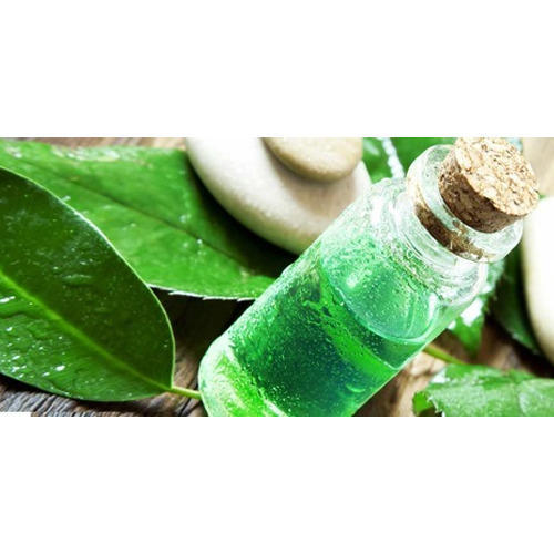 Tea Tree Oil, for Aromatherapy Personal Care, Form : Liquid