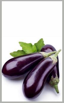 brinjal