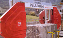 Pellegrini Wiresaw DF