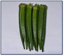 Okra Seeds, Color : Green