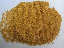 Raw yellow mustard seeds, Color : Black