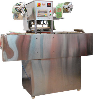 Fully Automatic Chain Drive Sealing Machine