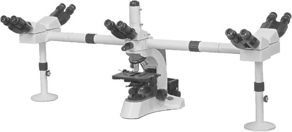 multiviewing microscope