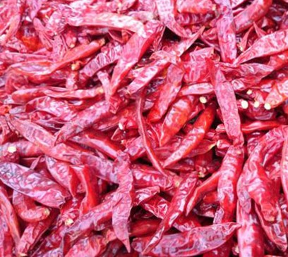 Red Chilli Sauce, Style : Dried